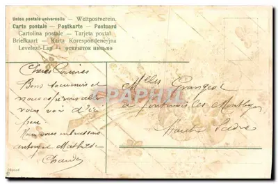 Bukiet białych kwiatów — wydawca nieznany — numer serii nieczytelny — Rewers