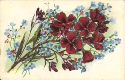 Arranjo de flores — vermelho e azul — Impressora AëC Paris