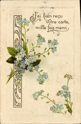 Flores de esquecimento — Obrigado por sua carta — editor não visível