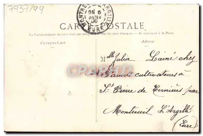 Violeta en un vaso verde — tarjeta postal con texto impreso y manuscrito — editor no visible — Reverso