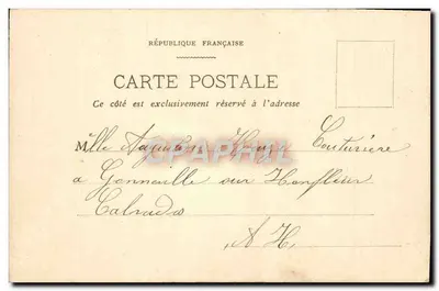 Bouquet de pensées et de gypsophile — main tenant une étiquette « Souhaits sincères » — éditeur non visible — Verso