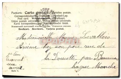 Pansées colorées — bouquet de fleurs — éditeur 'Cartolina postale' (série 71) — Verso