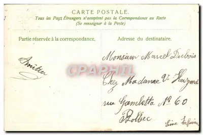Pequenas flores falam por mim — cartão postal decorativo com flores azuis e rosas — editor não visível — Verso