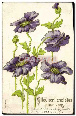 Poppies — Série 20 — Editor não visível