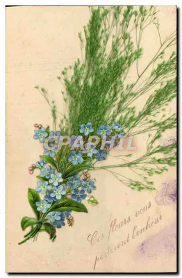 Arranjo de flores azuis — Estas flores trarão felicidade para você — editor não visível