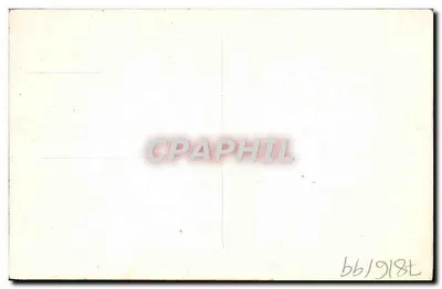 Flores desenhadas — ilustração infantil — bb/1918t — Verso