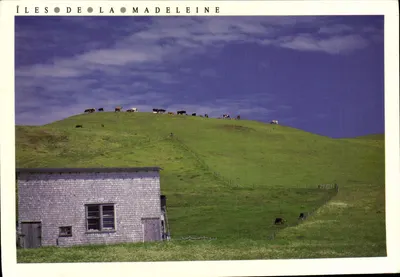Îles-de-la-Madeleine — paisagem pastoral com fazenda — Foto André Vigneau