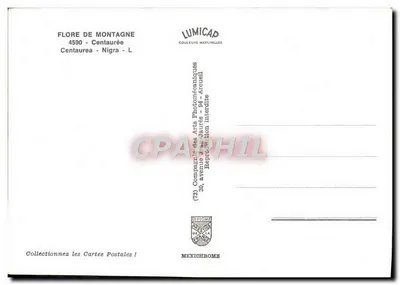 Florystyka górskiego — Centaurea nigra — Lumicap — Rewers