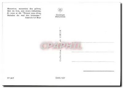 Meeuwen, strandmeeuwen — gedicht van Anatole Le Braz — uitgever AS, serie PP 267 — Achterkant