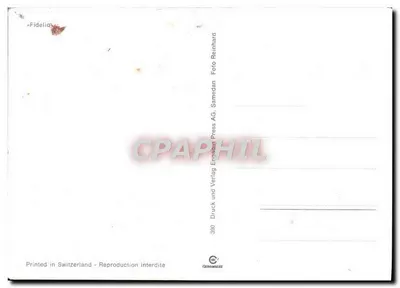 Czerwona róża w kwiecie — z pędzlikami — 3390, wydawca Samedan AG — Rewers
