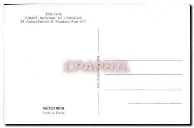 Campanha da Infância — Hamster entre morangos — Editado pelo Comitê Nacional da Infância — Verso