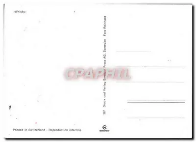 Róża 'Whisky' — gatunek róż — wydawca Samedan AG, nr 387 — Rewers