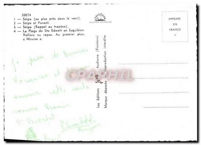 Radości morza — Jachty i plaża — Wydawnictwo Kolorów Naturalnych, nr 20574 — Rewers