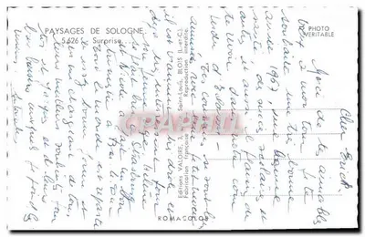 Doe na floresta — Paisagens de Sologne — Edições Valoire, n°5.626 — Verso