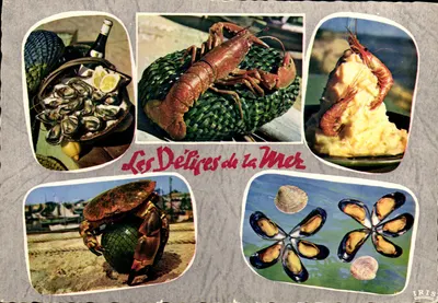 The Delights of the Sea — Iris Editions — n°17/180