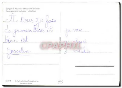 Três cães pastores alemães – Alsatian – Edição Denise Baulmes, n° 358/4 — Verso