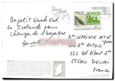 Irlanda — Pecore su scogliera costiera — John Hinde, 2/GL 45 — Verso