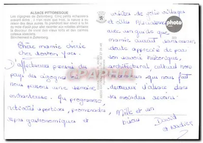 Cigarras de Zellenberg — Editora: Edira - Foto de Ansel, n° 323 — Verso