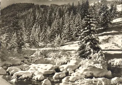Les Gets - Verão-Inverno - Neve e Sol — Combier Imp. Macon (CIM) n°54