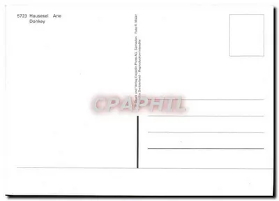 Muildier — Ane — 5723 — Achterkant