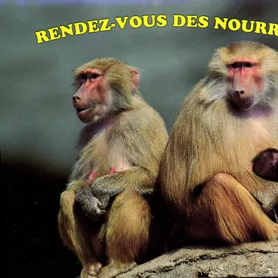 Dois babuínos — um bebê — série Macacos, editor ABEILLE/CARTES - PARIS