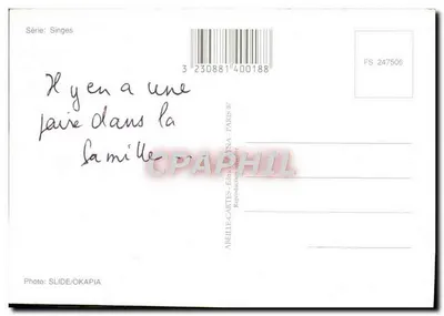 Dois babuínos — um bebê — série Macacos, editor ABEILLE/CARTES - PARIS — Verso