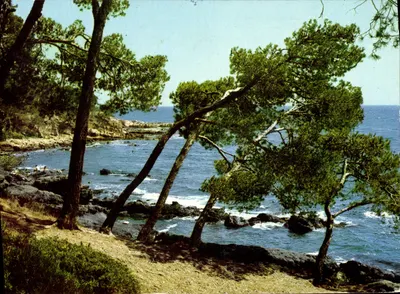 Pinhas inclinados sobre a Mediterrâneo — Edições S.E.P.T. — n°25/147