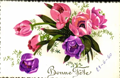 Arranjo de tulipas e pêssegos — Boa Festa — Fleurs GIL