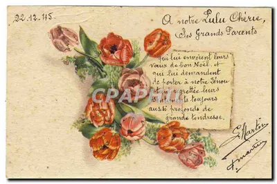 Tulipas vermelhas — Carta de Natal endereçada a 'Lulu Chérie' — Editor não visível