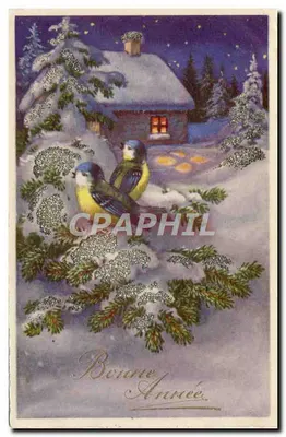 Dois pássaros em galho nevado — casa sob neve — texto 'Boa ano' — editor não visível