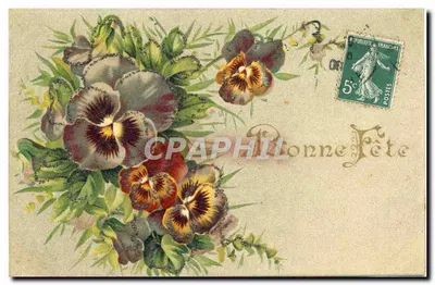 Flores de pensamento — Festa — República Francesa