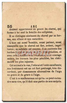 Świnka — 55 — Wydawca nie widoczny — Rewers