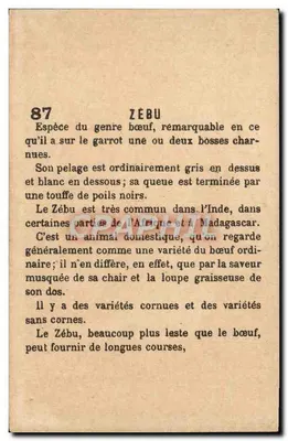 Zebu — seria 87 — Rewers