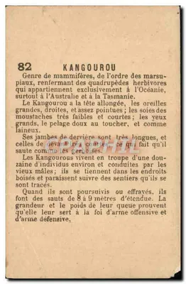 Canguru — carta de coleção n°82 — editor não visível — Verso