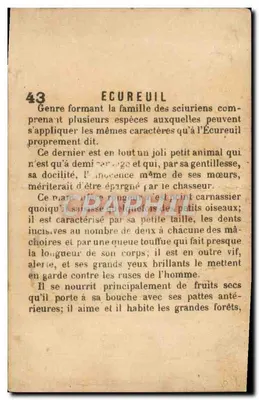Écureuil — animal perché sur une branche — éditeur ECUUREUIL (imprimé sur le verso) — Verso