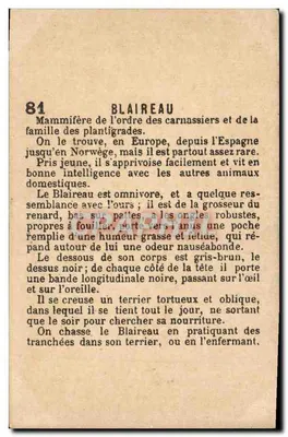 Blaireau — illustration naturaliste — éditeur BLAIREAU n°81 — Verso