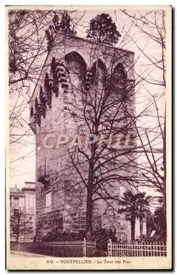 Bilhete postal antigo Montpellier La Tour des Pins