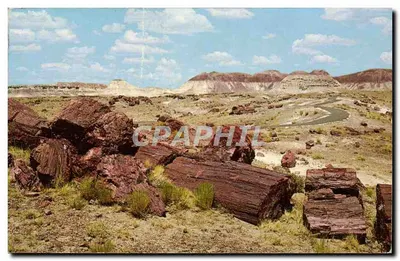 Petrified Forest — Eastern part, Rainbow Forest, Arizona — Distributed by Southwest Post Card Co.