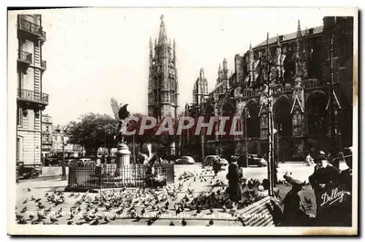 Bordeaux — Os pombos da catedral — Place Pierre Loti — Delbboy