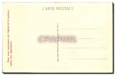 Strasburg — Katedra — wydawca Braun & Cie, nr 2793 — Rewers
