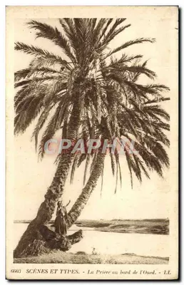 A Oração à beira do Oued — SCÈNES ET TYPES, n° 6603, LL