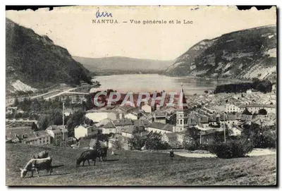 Bilhete postal antigo Nantua Vista Geral e o Lago Vaches