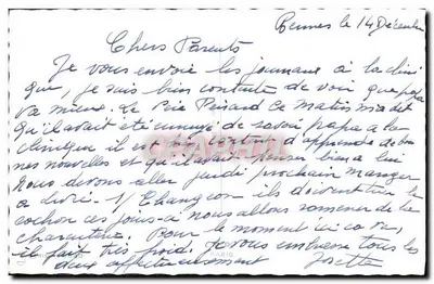 Cachorro Golden Retriever — jardim florido — editor não visível — Verso