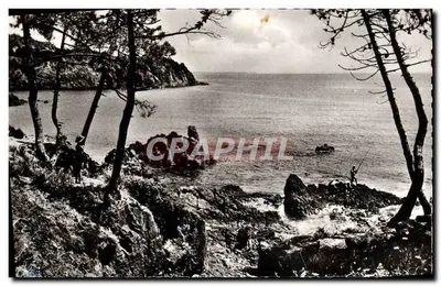 Cannes (A.M.) - Le Trayas — widok wybrzeża