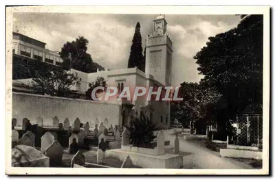 Argélia — Mesquita do Hamma e cemitério indígena — Edição « LA CUCINE »