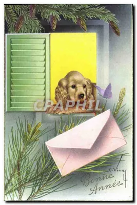 Cachorro na borda de uma janela — decoração de abeto — editor C. Vive, n°4