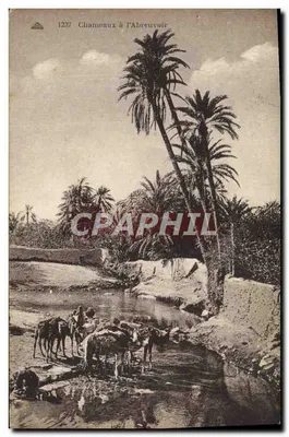 Camelos na Fonte de Água — Editor: Ateliers des Arts, Strasbourg — Número de série 1237