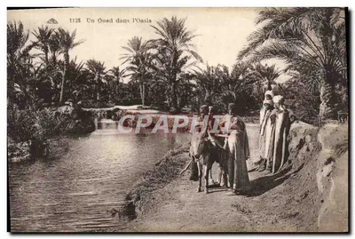 Um oued na Oasis — série 1128 — Editor: Chacienne des Arts Photographiques - Grenabourg