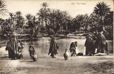 Um Oasis — Série 1317 — Alacienne dos Arts Fotográficos, Strasbourg