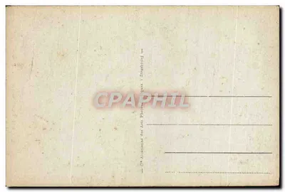 Droga w palmeraii — seria 1131 — Cie Alsacienne des Arts Photographiques, Strasbourg — Rewers